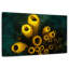 Corail Brampt-107855361