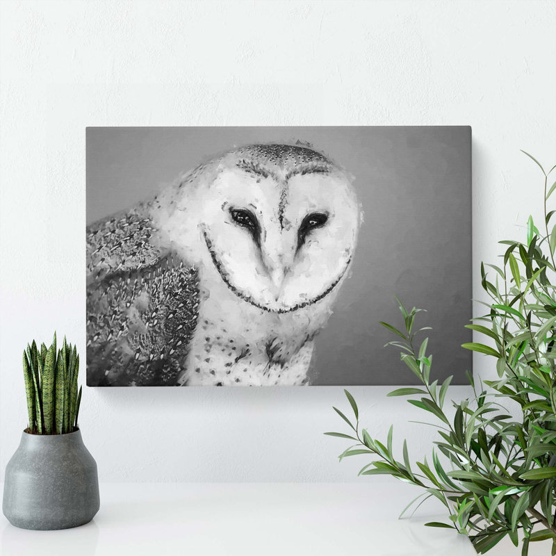 Barn Owl in Abstract - Wrapped Canvas, 50cm H x 76cm W x 3cm D
