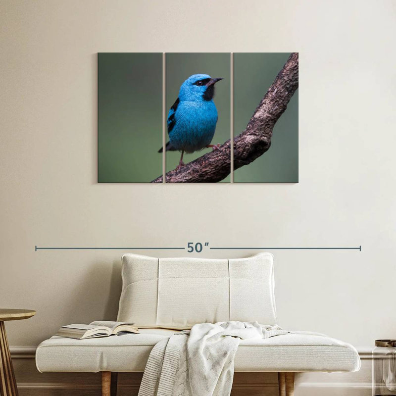 Vivid Blue Bird, 24" H x 38" W
