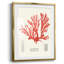 Watercolor Metric I, reproduction encadrée-356236414-356236408