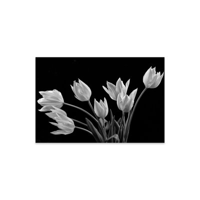 " Tulips " by Dennis Frates