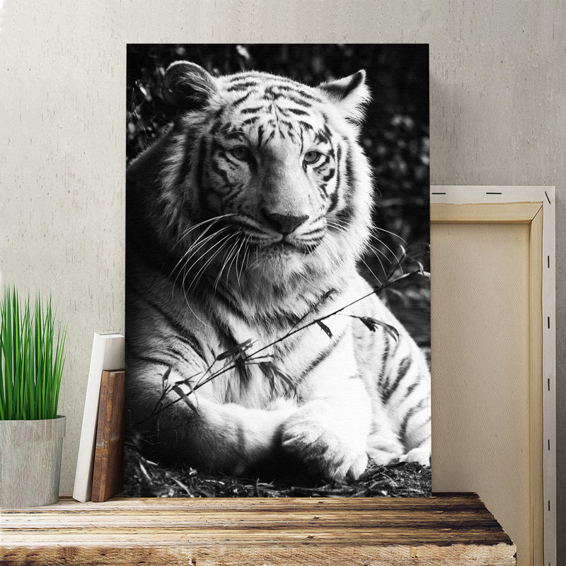 Wrapped Canvas Print, 50cm H x 35cm W