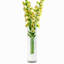 Ensemble de 6 vases en verre Colner-1860858808-1866809947