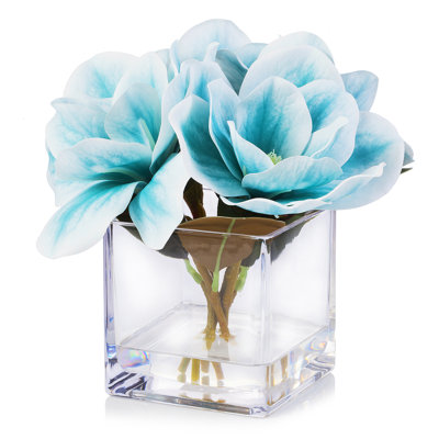 Magnolia dans un vase