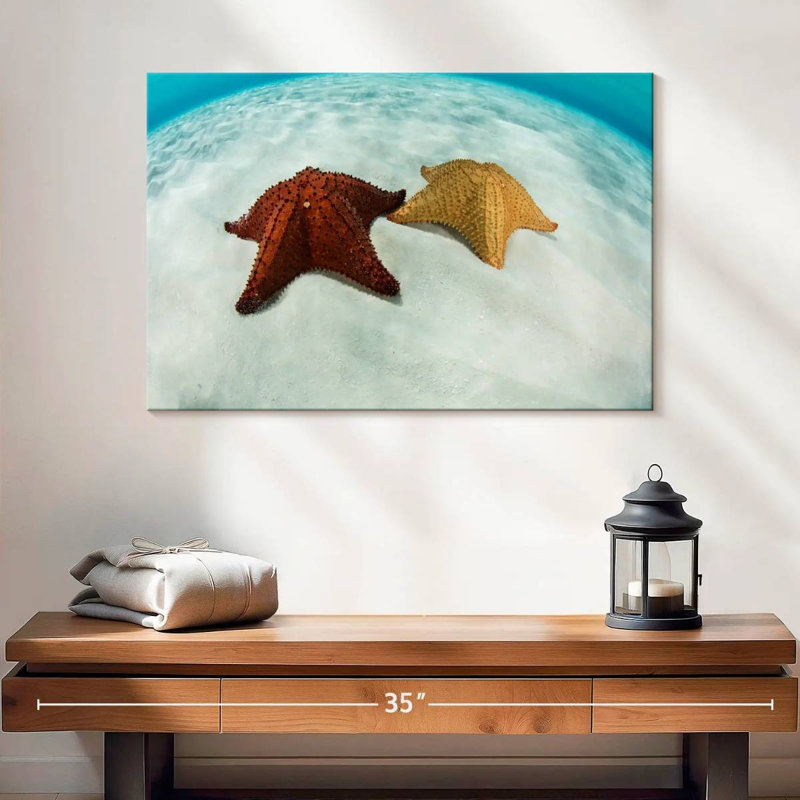 Brampt Caribbean Starfish, 16" H x 24" W