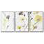 " Wild Flowers & Contour I " 3 - Pieces-993594925-993594921