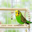 16.5cm Solid Wood Bird Play Centre