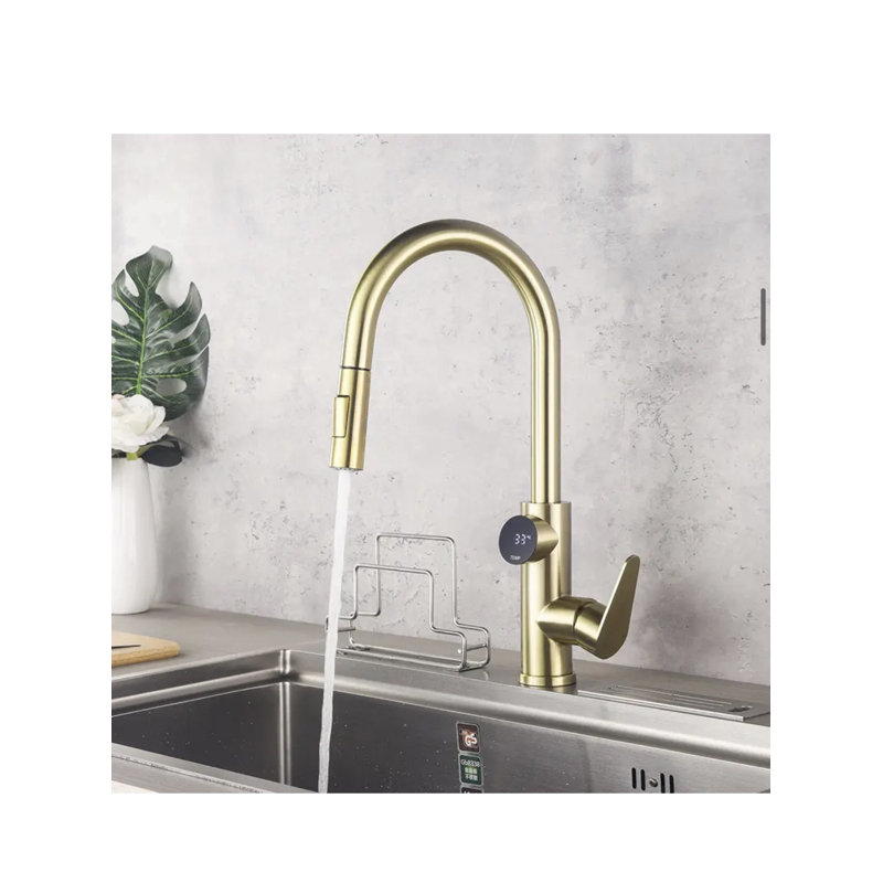 AvaMalis Pull Out Kitchen Faucet, Brushed Gold