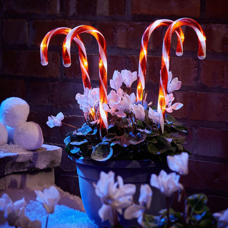 Christmas Decoration