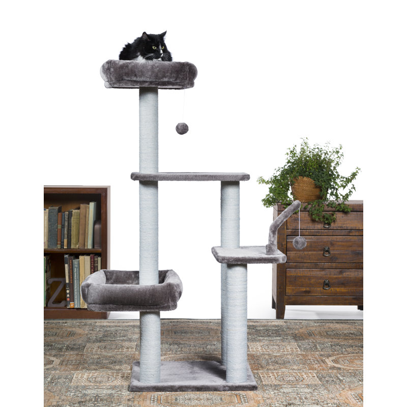 Borrego 51'' H Cat Tree