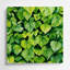 Aquarelle botanique, art mural vert en métal 72-574384341