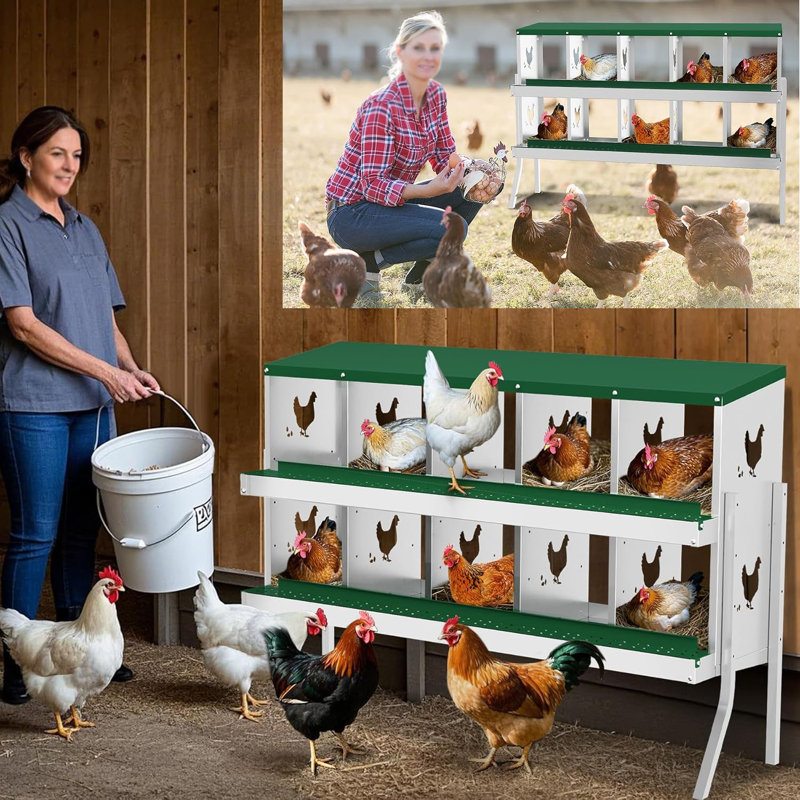 Boîte de nidification pour poulet 10 trous en métal avec support, Vert