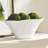 Deshanon Oval Vase Large-235201451