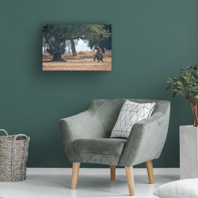 Bolog Alessandro Catta  Mana Pools Secret Canvas Art