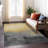 Machine Washable Indoor/Outdoor Magruder ACN2420 Abstract Rug-546171984