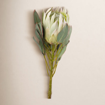 Large Protea Stems