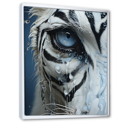 " Zebra Eye Closeup III "
