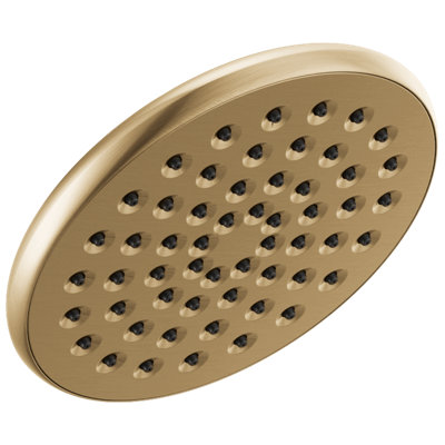Single-Setting Raincan Shower Head