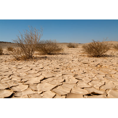 " Desertification And Drought "