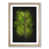 Oak Framed selected