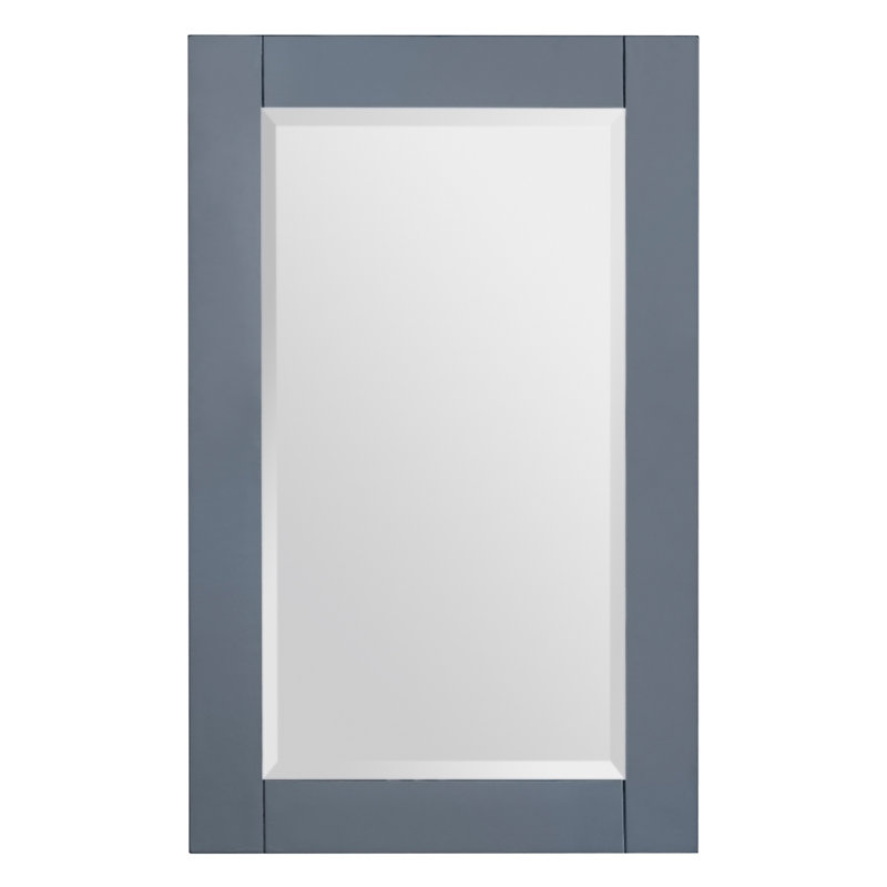 Bernharda 22 in. W x 32 in. H Modern & Contemporary Rectangular Framed Surface-Mount Bathroom Vanity Mirror in Charcoal Gray