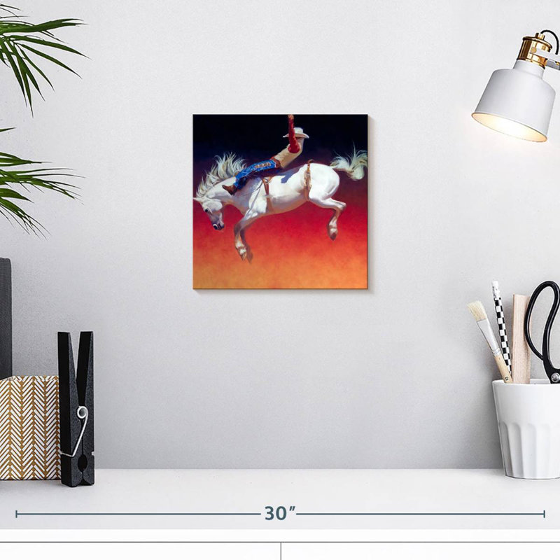Mehar Rodeo Fireworks, H 10 po x l 10 po