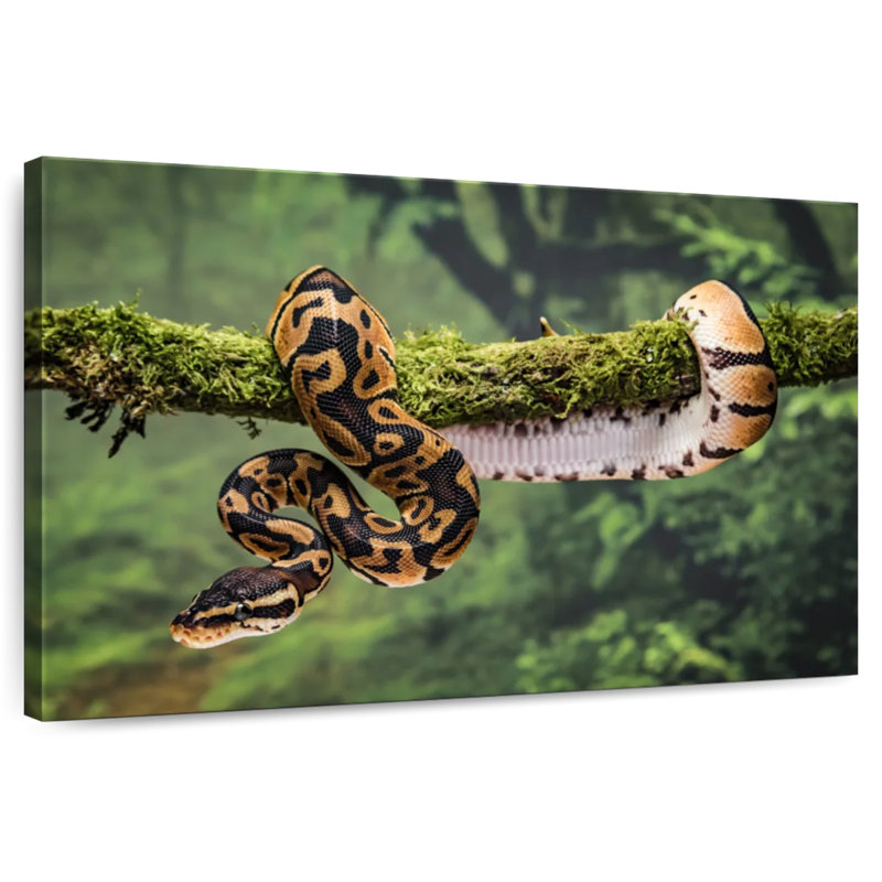 Python On Branch, 16" H x 24" W