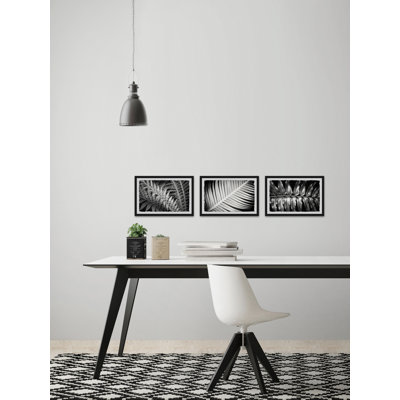 «Leaf Types Triptych» par Morgan Hartley - ensemble de 3 reproductions de photos sur papier encadrées