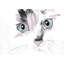 Close-up Watercolor Cat Print - Pink Reflection | Home Decor