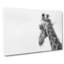 Monochrome Giraffe In Abstract - Wrapped Canvas-55310026