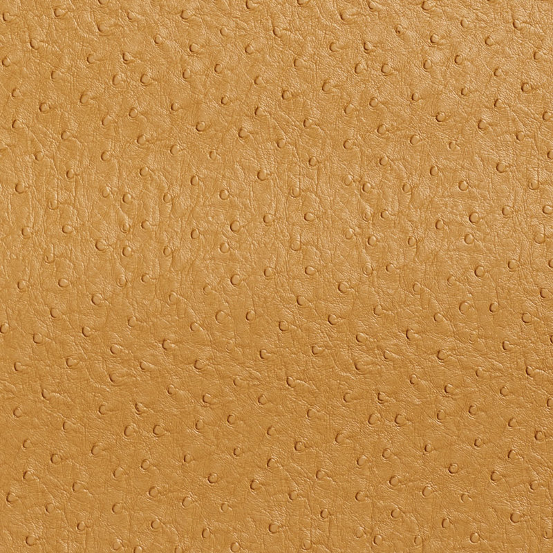 Vinyle d’extérieur autruche, Beige