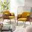 Fauteuil rembourré-383372182