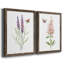 «Wildflower Botanical I», ensemble de 2 reproductions d'art-923653539-808463890-923653540