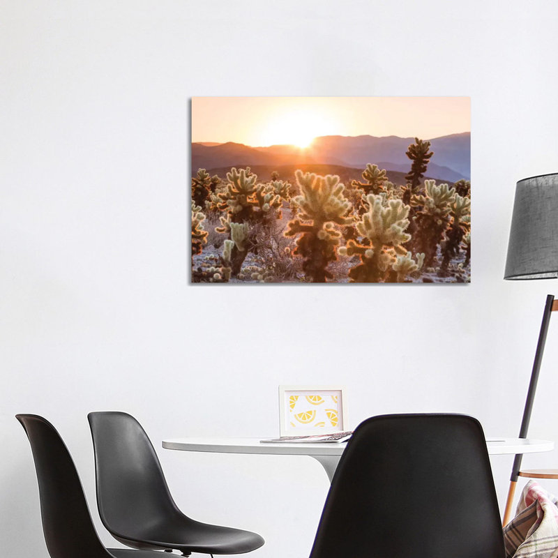 Cactus Garden, Joshua Tree National Park, California, USA by Matteo Colombo - Wrapped Canvas Gallery-Wrapped Canvas Giclée
