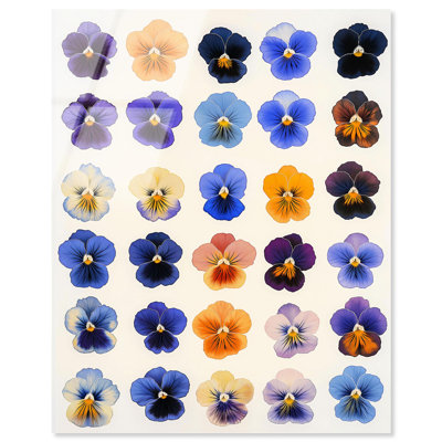 «Pansy Patch Grid I», reproduction d'art acrylique sur toile par Art Remedy