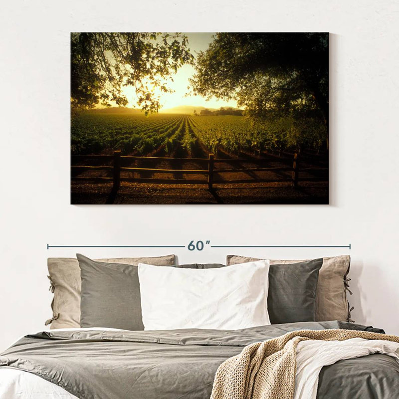 Alvord Oakville Vineyard, H 34 po x l 51 po