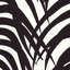 Zebra Palm Fabric-31247115