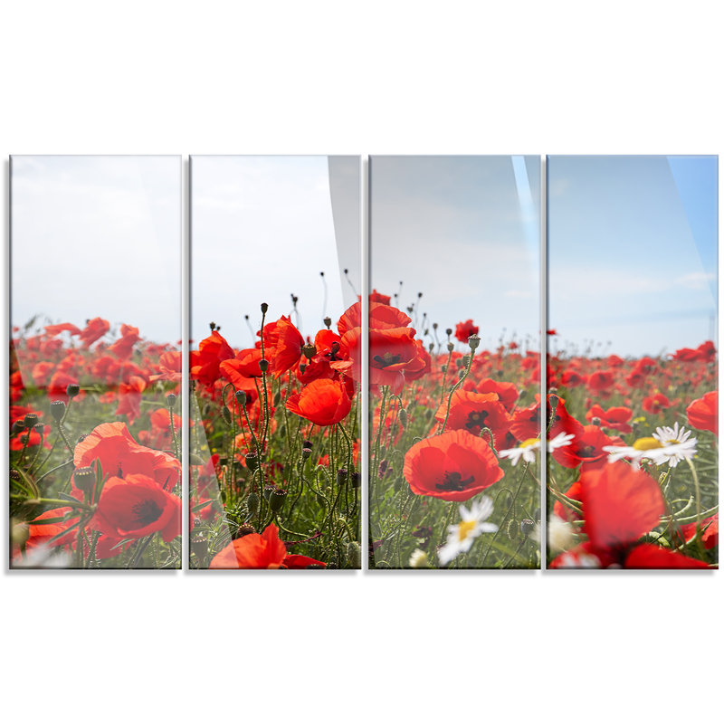 Ensemble de 4 reproductions de photos sur toile tendue, "rouge-pop" sous brillante blue sky "