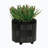 Yamili Ceramic Pot Planter