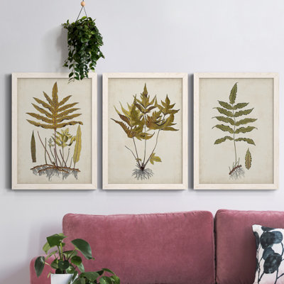 Fern Botanical I - Ensemble de 3 peintures sur toiles encadrées