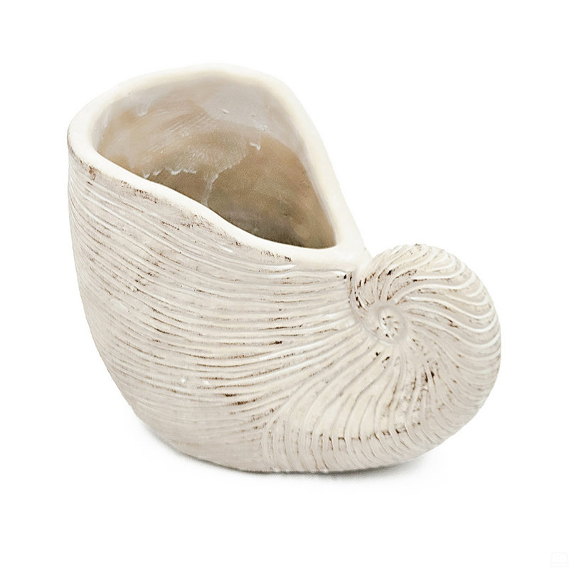 Sand And Cement Nautilus Shell Planter, 6.3" H x 8.5" W x 5.5" D