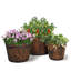 Abhinandan Wood Barrel Planter