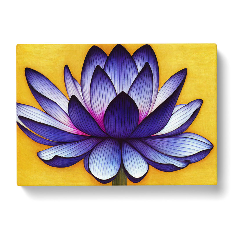 Exotic Lotus Flower - Wrapped Canvas, 35cm H x 50cm W x 3cm D
