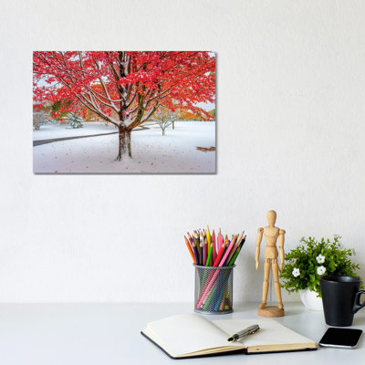 Red And White by Nejdet Duzen - Wrapped Canvas Print