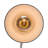 Penstemon Plug-in Wallchiere-1564316551
