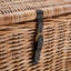 Arviso Wicker Trunk