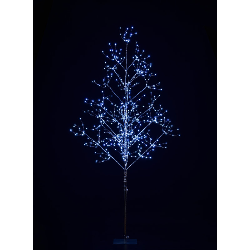 Lighted Tree