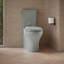 Toilette allongée deux pièces Persuade Curv avec siphon à jupe, double chasse-106282004