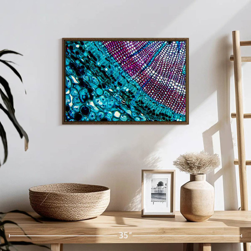 Pine Stem Under Microscope, 19" X 13", Floating Frame Walnut