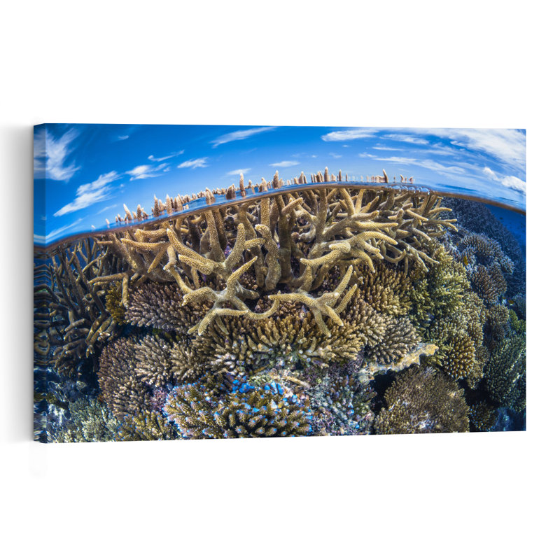 Tropical Coral Reef Sky Colorful Vibrant Abstract Nature Ocean Wall Art Print 1 Piece Wrapped Canvas Wall Art